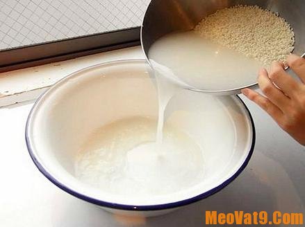 Tác dụng của nước vo gạo
