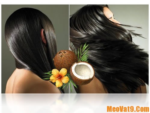 Hướng dẫn dưỡng tóc bằng dầu dừa