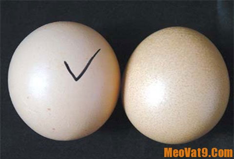 Mẹo phân biệt trứng gà tẩy trắng: Nhận biết trứng gà ta và trứng gà công nghiệp tẩy trắng như thế nào?