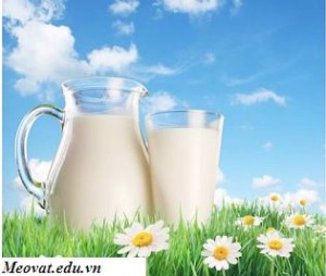 5 tác dụng diệu kỳ của sữa tươi có thể bạn chưa biết